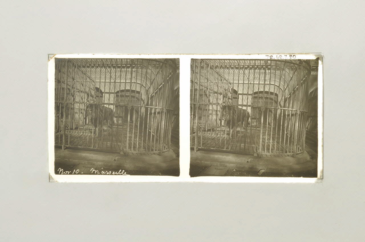 plaque 1978.48.7.80 Photo Mucem