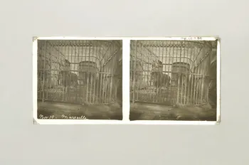 plaque 1978.48.7.80  Photo Mucem
