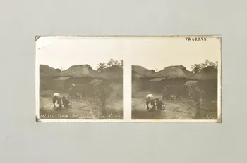 plaque 1913/1/18 1978.48.7.95  Photo Mucem