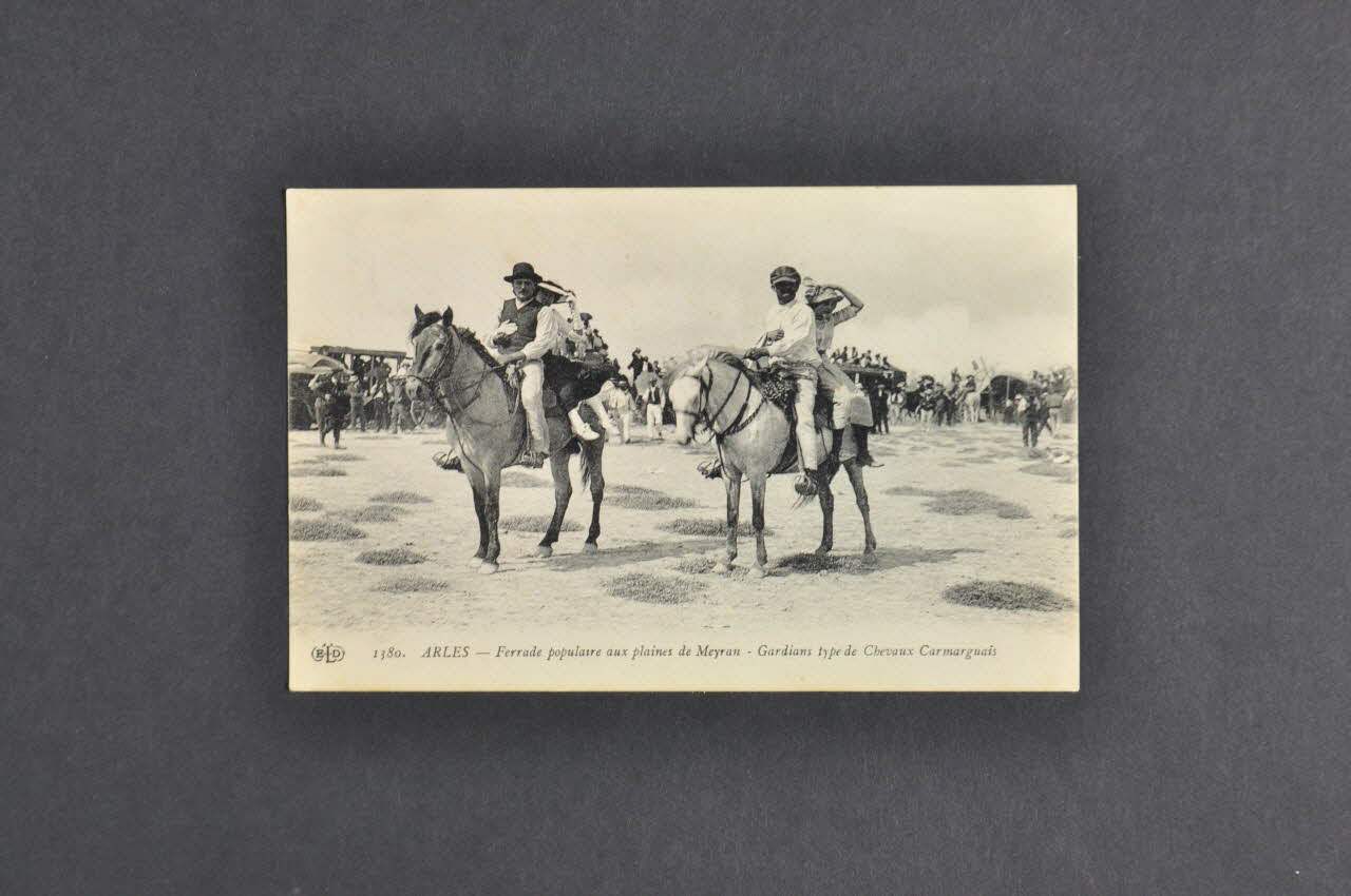 carte postale 1380  ARLES - Ferrade populaire aux plaines de Meyran - Gardians type de Chevaux Camarguais 2004.317.4 Photo