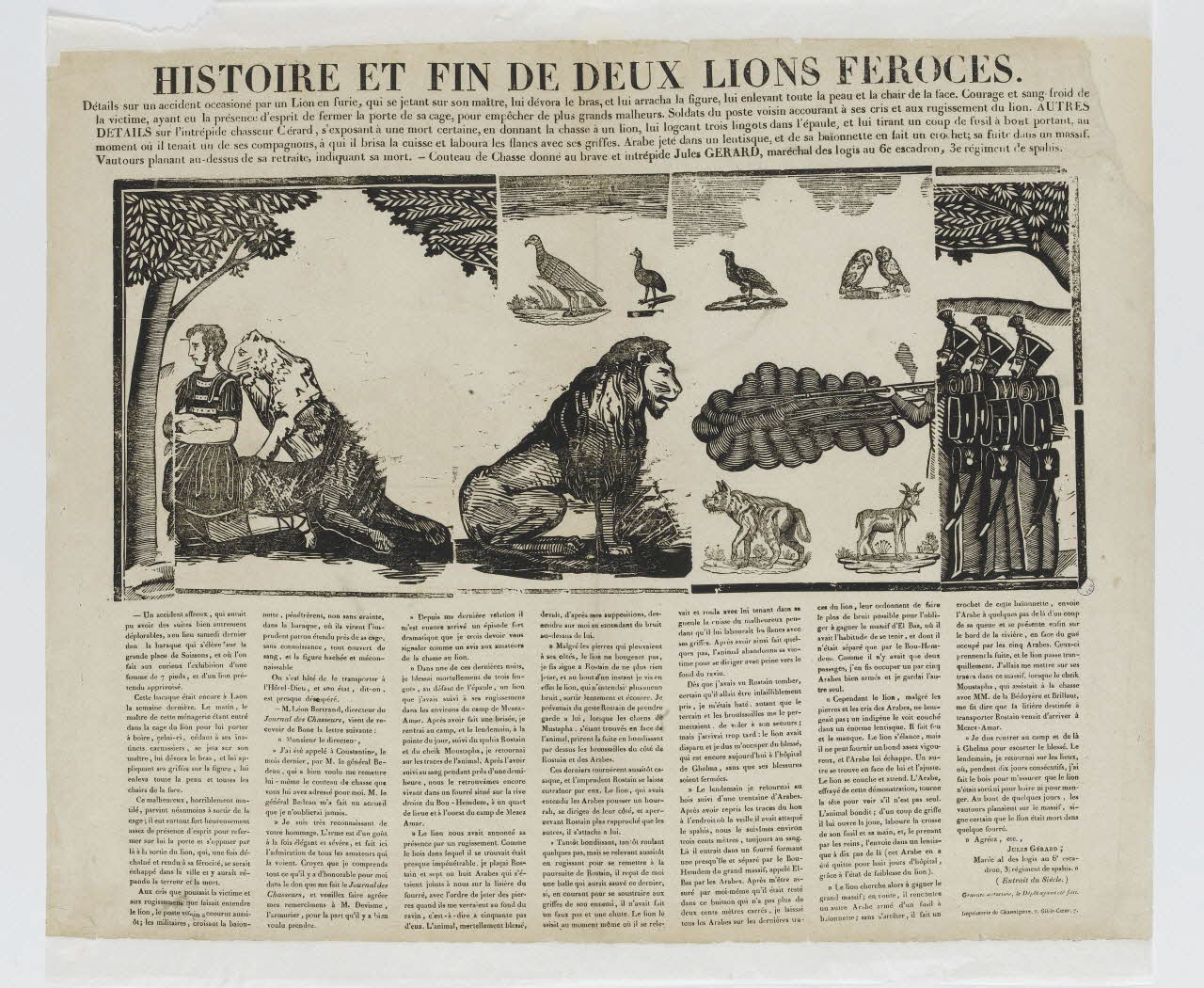 canard HISTOIRE ET FIN DE DEUX LIONS FEROCES. 1981.38.3 Photo RMN-Grand Palais (Mucem)