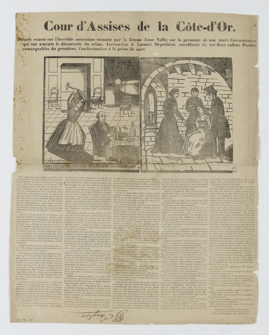 canard Cour d'Assises de la Côte-d'Or. 1982.19.11 Photo RMN-Grand Palais (Mucem)