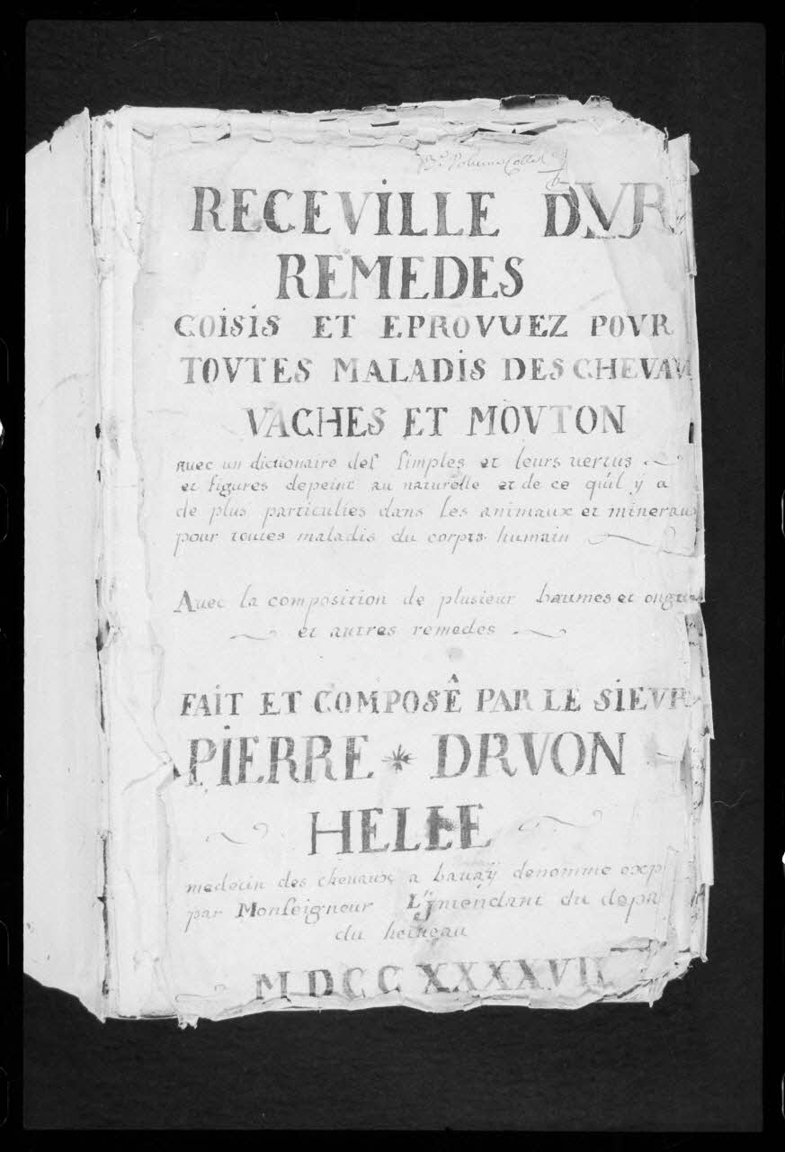 photographie "Le médecin des chevaux". Manuscrit. 1747. Médecine vétérinaire et protection des animaux: thérapeutique par les plantes. Page de titre Ph.1986.104.3 Photo