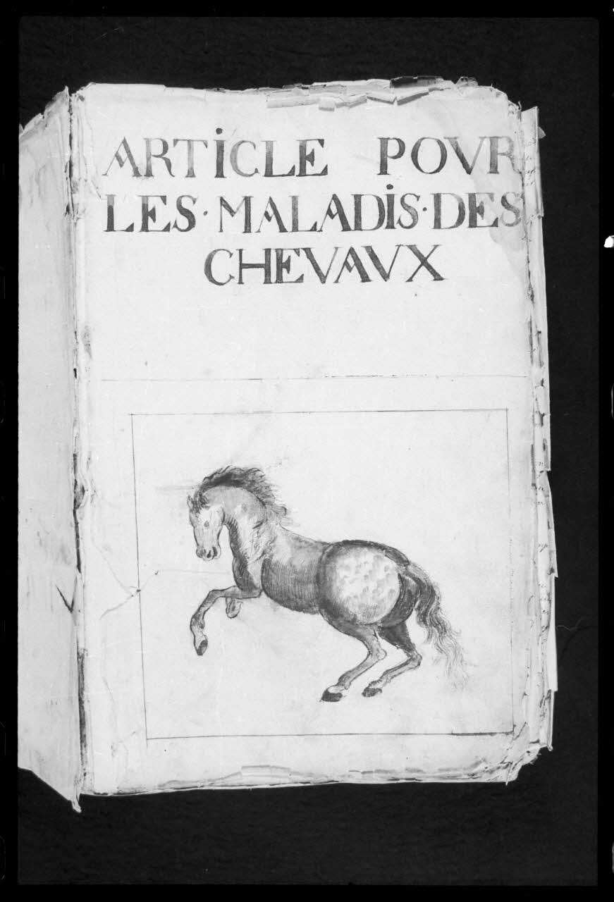 photographie "Le médecin des chevaux". Manuscrit. 1747. Médecine vétérinaire et protection des animaux: élevage des chevaux Ph.1986.104.4 Photo
