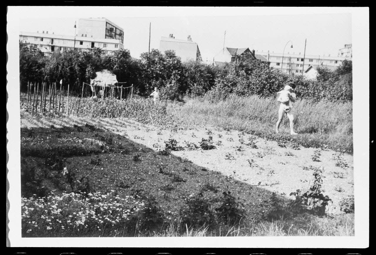 photographie Jardins ouvriers où a été depuis édifiée la clinique de la Défense. 1976 Ph.1986.23.3 Photo