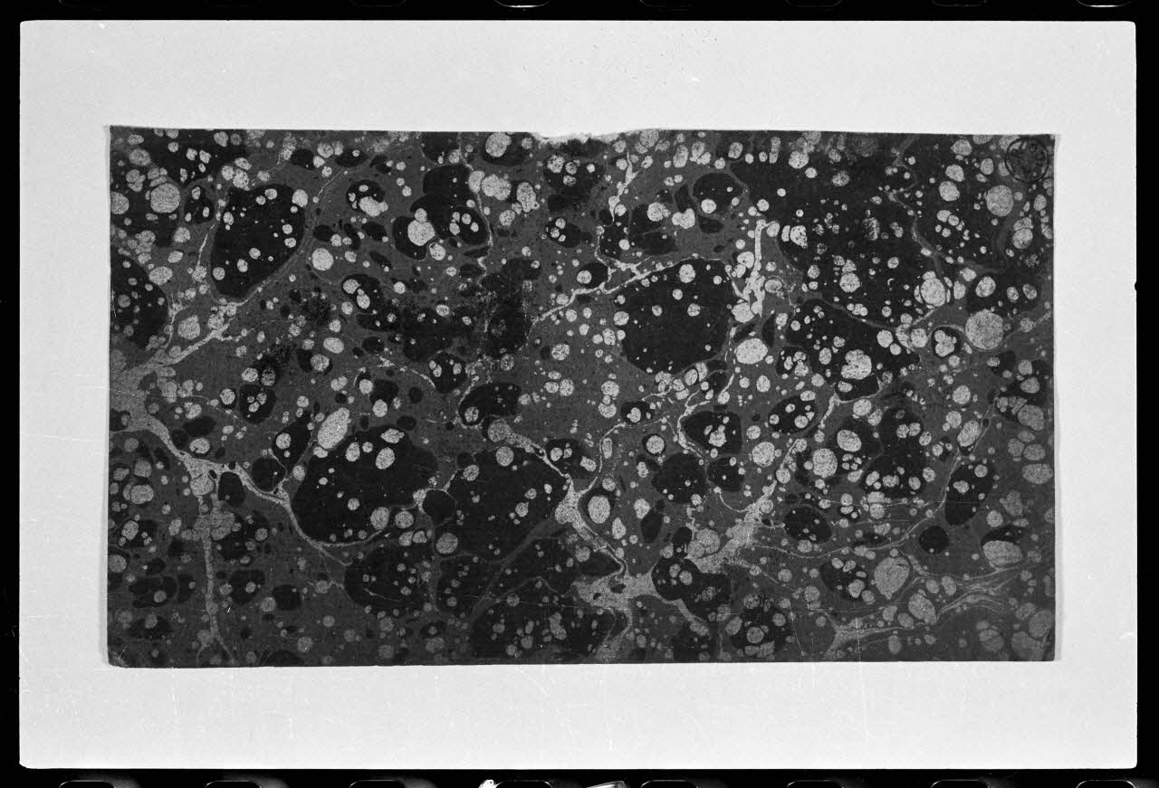 photographie Papier bleu provenant d'une dominoterie. Bois couleur sur vergé Ph.1986.2.170 Photo
