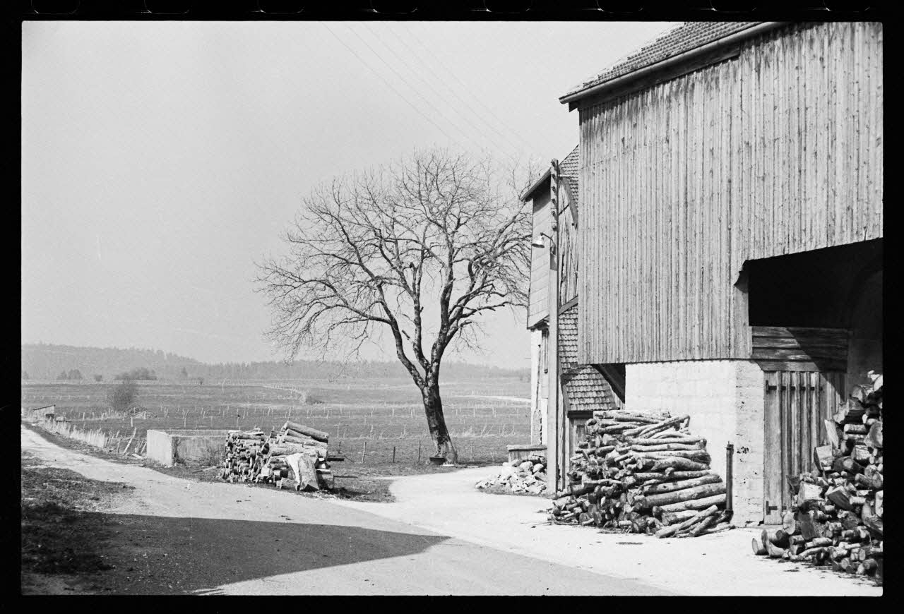 photographie Bois de chauffage stocké dans hangar avec mantelage en planche Ph.1986.48.13 Photo