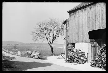 photographie Bois de chauffage stocké dans hangar avec mantelage en planche Ph.1986.48.13 Photo