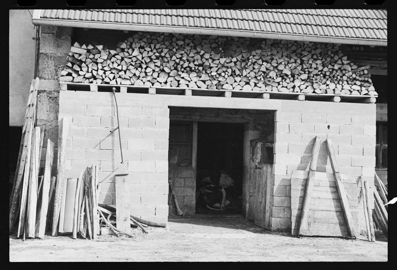 photographie Bûcher d'une exploitation agricole Ph.1986.48.28 Photo