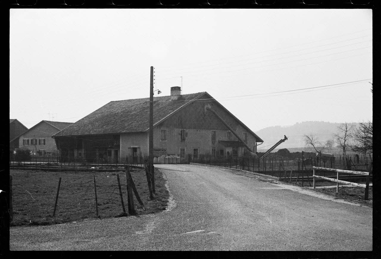 photographie Exploitation agricole Ph.1986.48.29 Photo