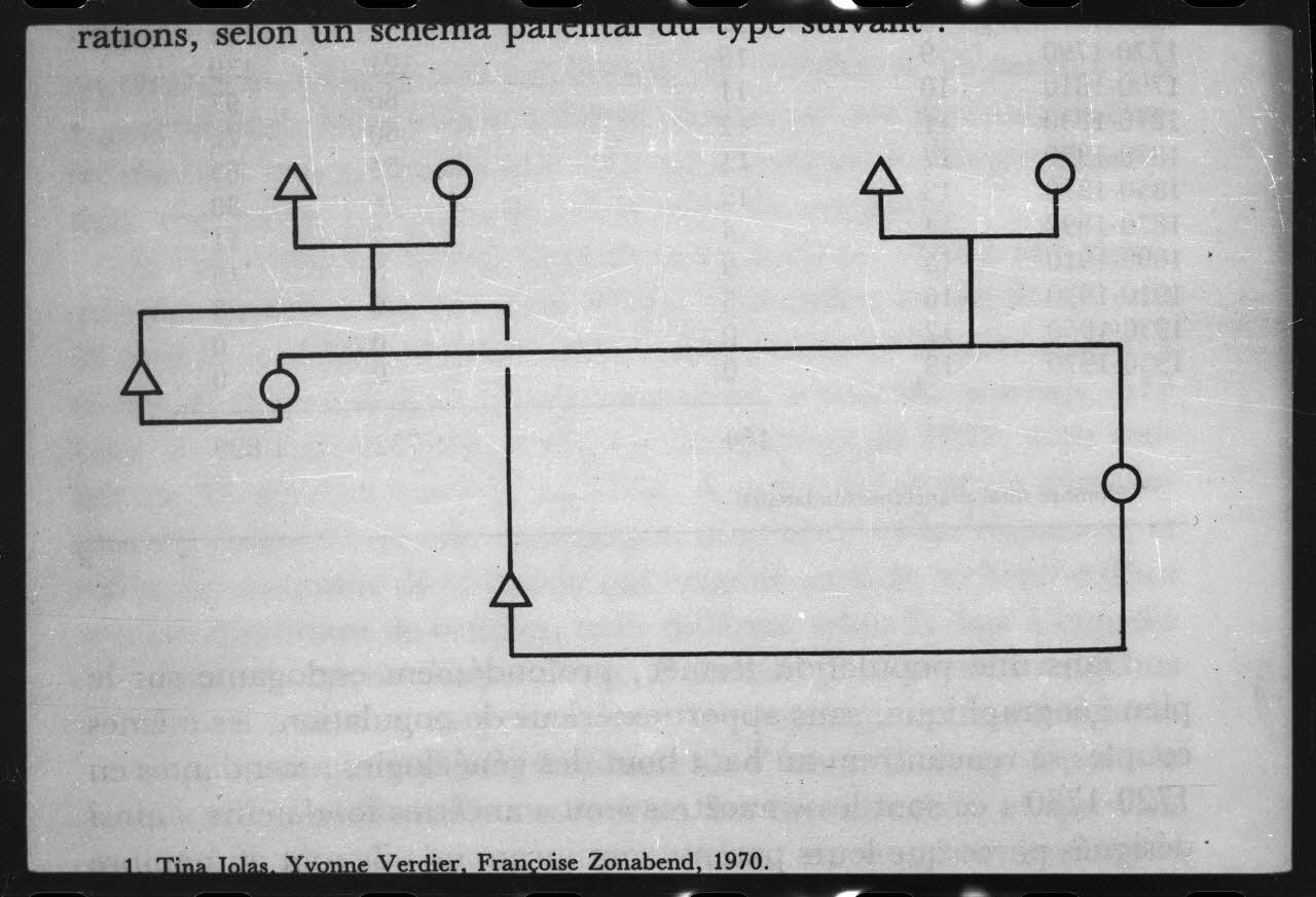 photographie Diagramme illustrant la sociologie de la famille et du mariage. In "Quinze générations de Bas Bretons" de M. Segalen, page 126 Ph.1986.4.1 Photo