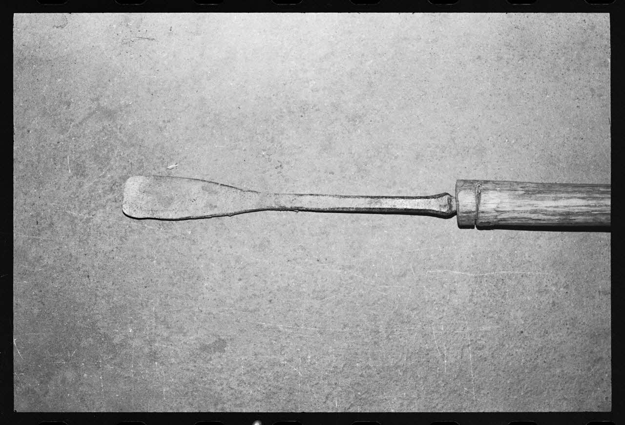 photographie Coupe chardon Ph.1986.50.10 Photo