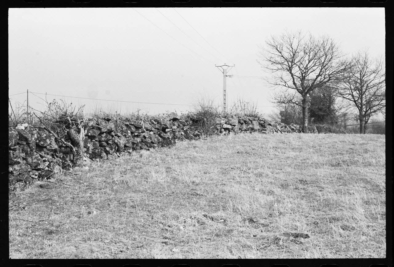 photographie Paysage agricole : vue sur les murets délimitant et clôturant les parcelles Ph.1986.50.12 Photo