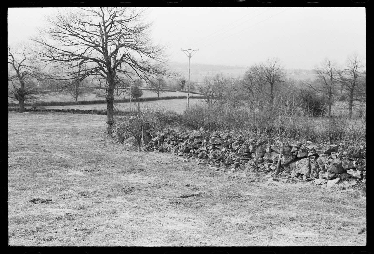 photographie Paysage agricole : vue sur les murets délimitant et clôturant les parcelles Ph.1986.50.13 Photo