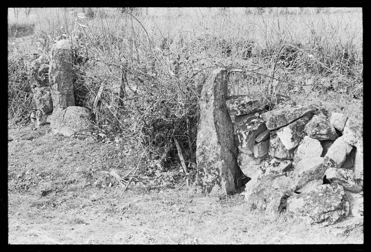 photographie Paysage agricole : vue sur les murets délimitant et clôturant les parcelles Ph.1986.50.14 Photo