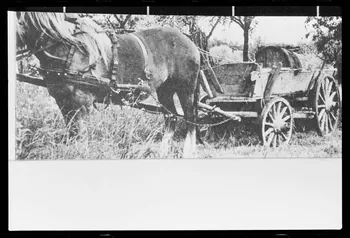 photographie Charrette à quatre rues avec attelage de chevaux. In "Guide ethnographique des transports ruraux", page 55 Ph.1986.54.6  Photo