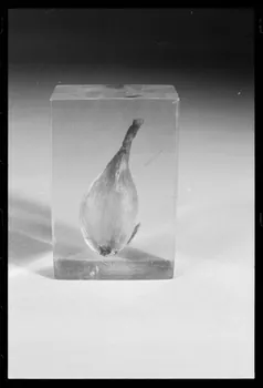 photographie MNATP. Exposition. Après la pluie le beau temps : la météo (23 novembre 1984 - 15 avril 1985) Ph.1986.55.115  Photo