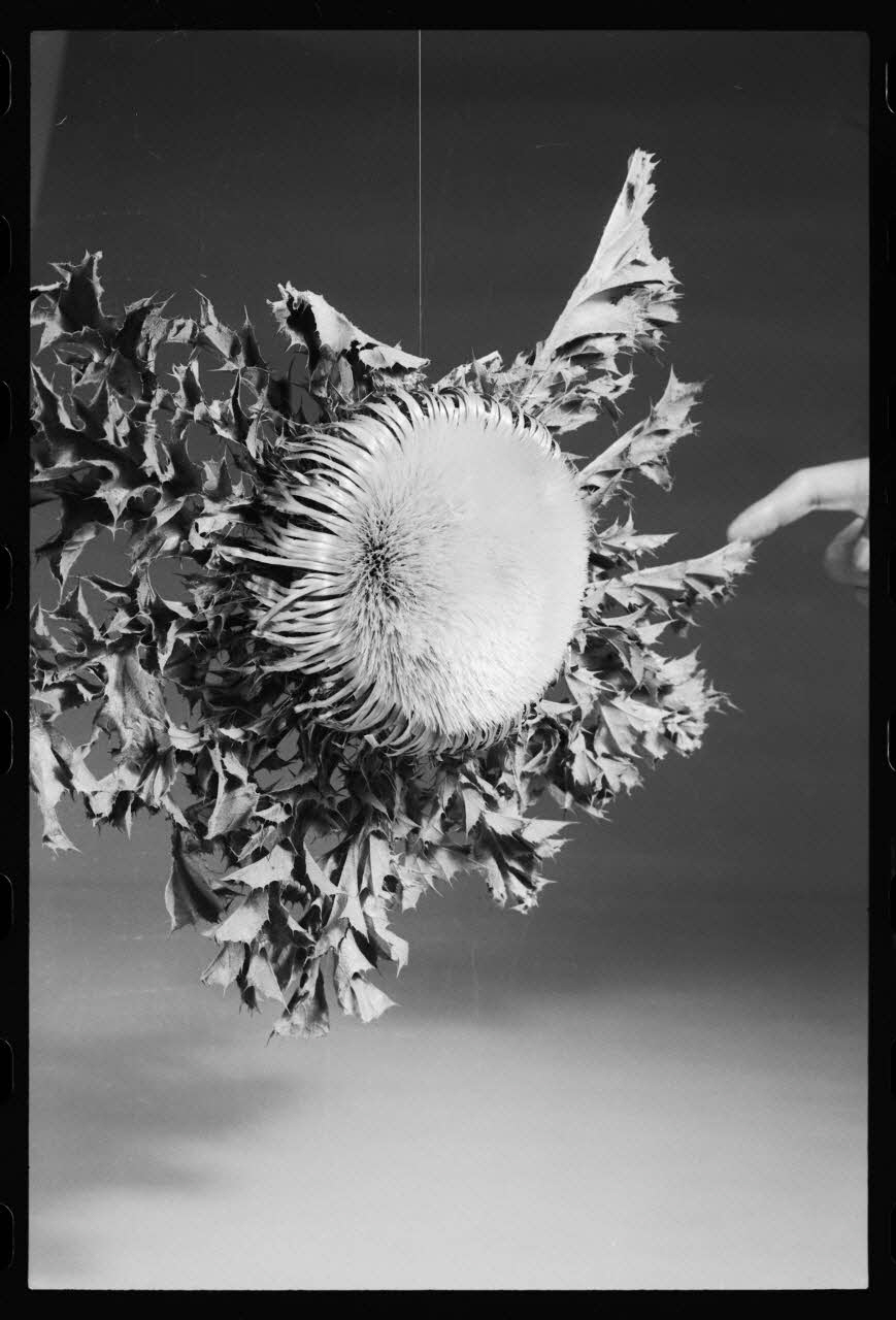 photographie MNATP. Exposition. Après la pluie le beau temps : la météo (23 novembre 1984 - 15 avril 1985) Ph.1986.55.124 Photo