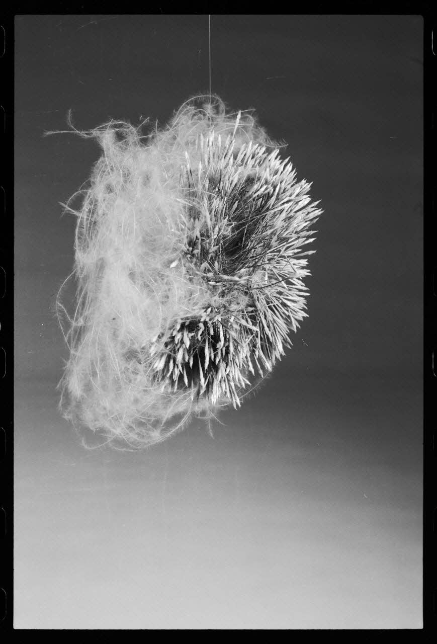 photographie MNATP. Exposition. Après la pluie le beau temps : la météo (23 novembre 1984 - 15 avril 1985) Ph.1986.55.126 Photo