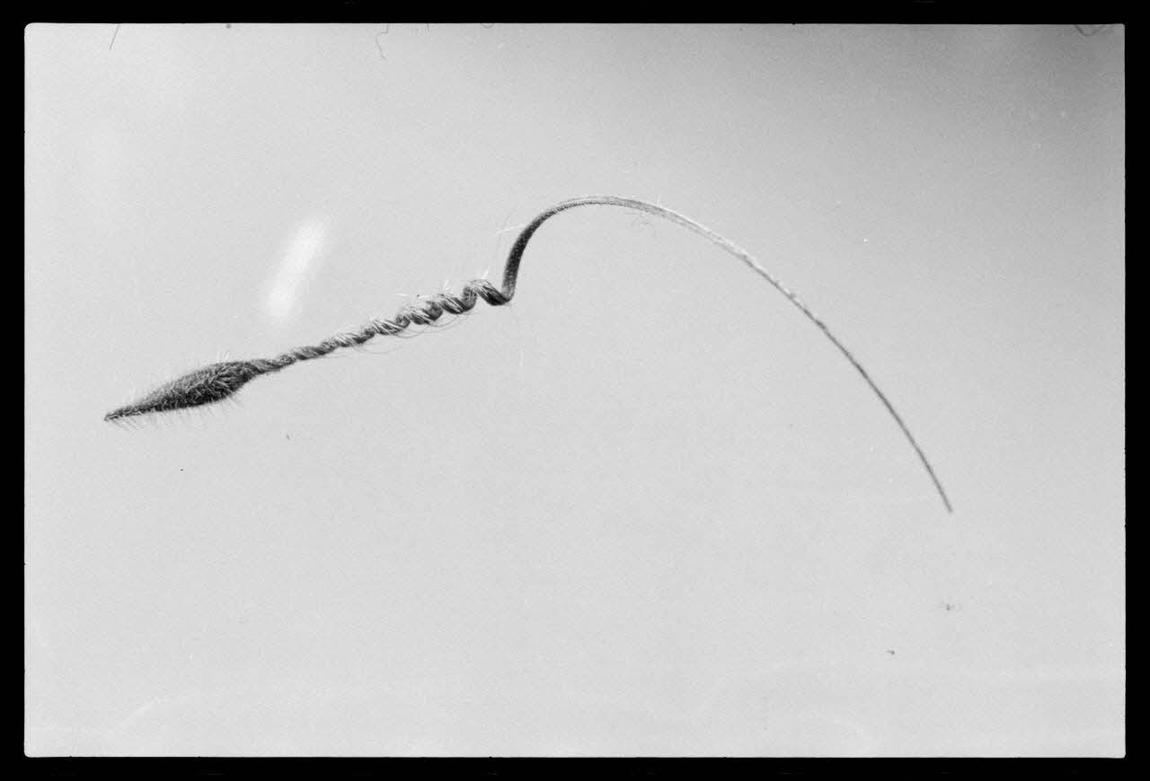 photographie MNATP. Exposition. Après la pluie le beau temps : la météo (23 novembre 1984 - 15 avril 1985) Ph.1986.55.72 Photo