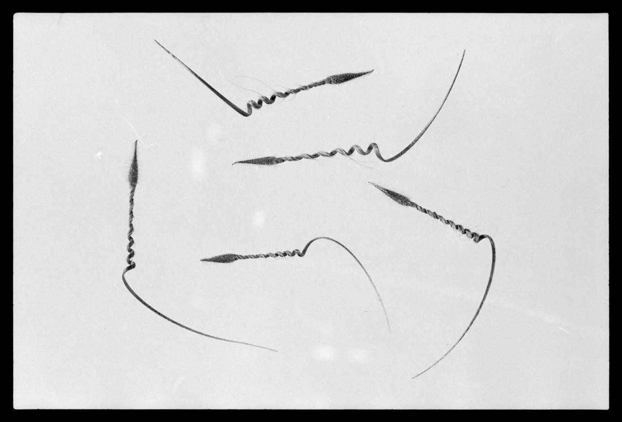 photographie MNATP. Exposition. Après la pluie le beau temps : la météo (23 novembre 1984 - 15 avril 1985) Ph.1986.55.73 Photo