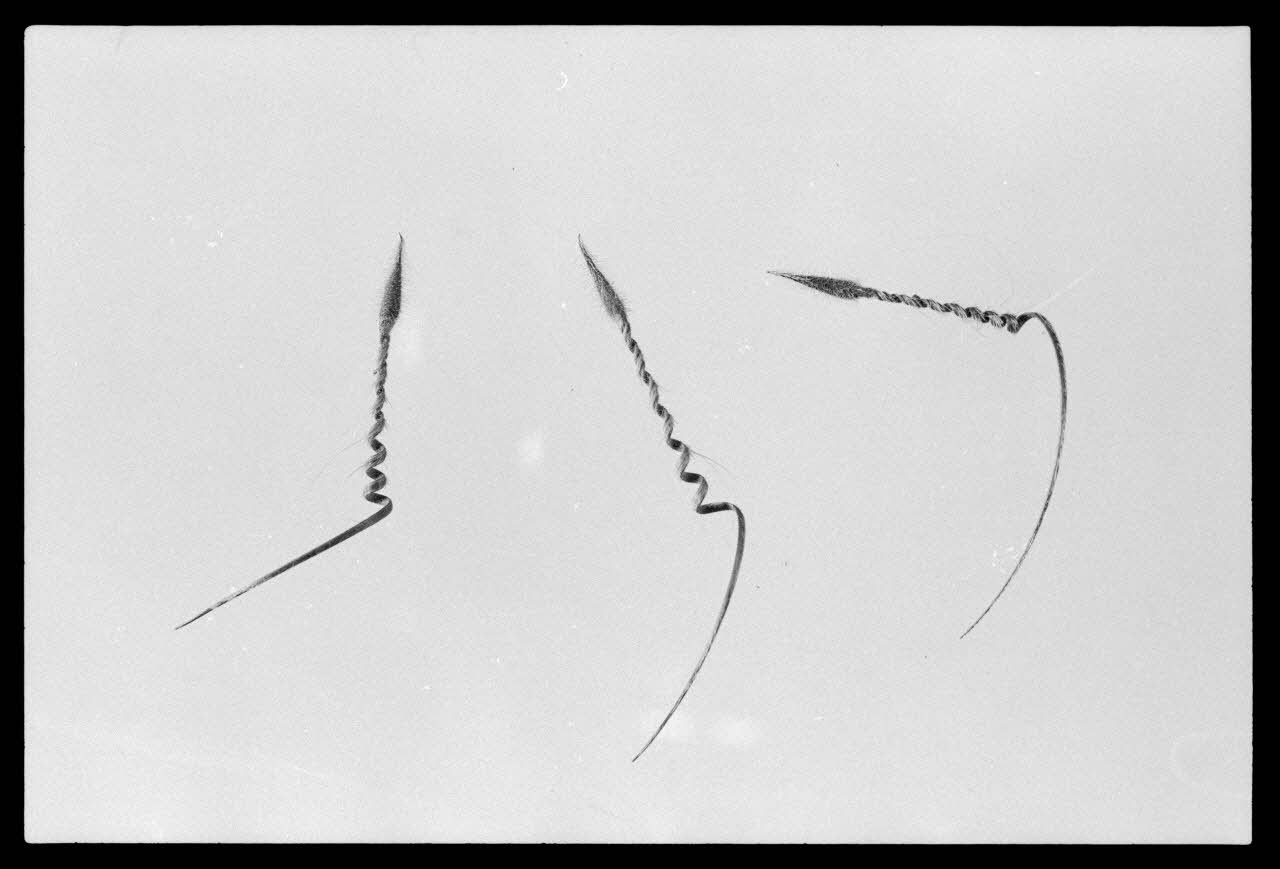 photographie MNATP. Exposition. Après la pluie le beau temps : la météo (23 novembre 1984 - 15 avril 1985) Ph.1986.55.74 Photo