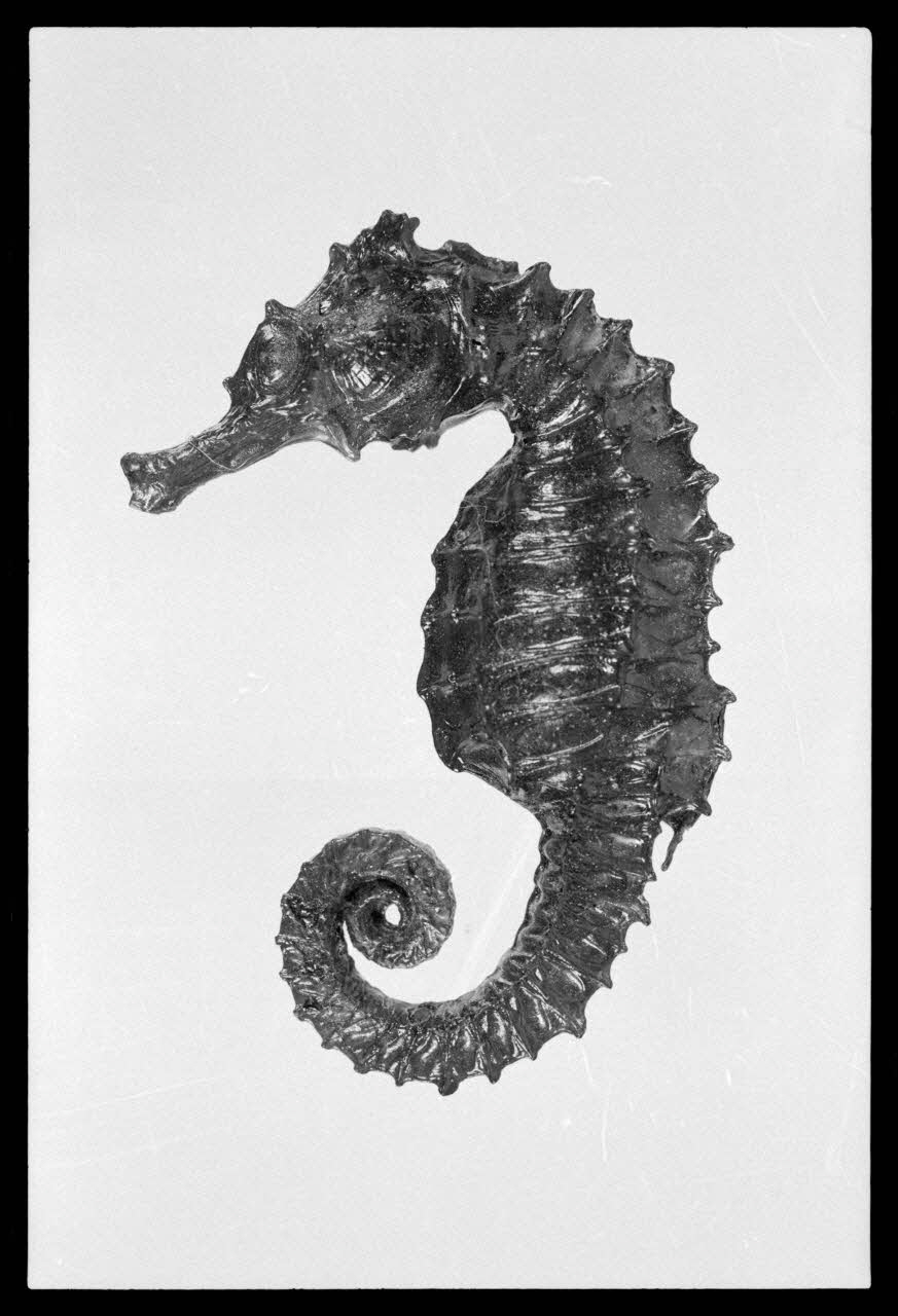 photographie MNATP. Exposition. Après la pluie le beau temps : la météo (23 novembre 1984 - 15 avril 1985) Ph.1986.55.75 Photo