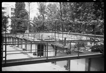 photographie MNATP. Enquête conduite par Madame Martine Segalen Ph.1986.62.1 Photo