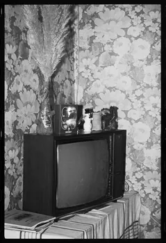 photographie MNATP. Enquête par Madame Martine Segalen, chez Monsieur et Madame G. , originaires de Trento Ph.1986.62.5 Photo