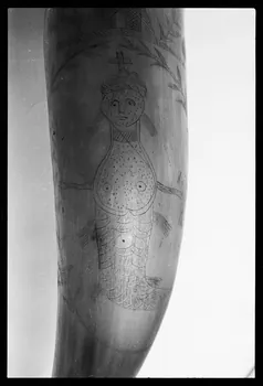 photographie MuCEM (Paris). Galerie culturelle. Section "arts visuels". Espace "arts appliqués". Vitrine "corne". Corne. 1854 Ph.1986.6.168  Photo