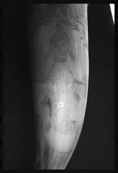 photographie MuCEM (Paris). Galerie culturelle. Section "arts visuels". Espace "arts appliqués". Vitrine "corne". Corne. 1854 Ph.1986.6.169  Photo