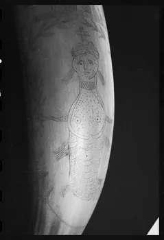 photographie MuCEM (Paris). Galerie culturelle. Section "arts visuels". Espace "arts appliqués". Vitrine "corne". Corne. 1854 Ph.1986.6.170  Photo