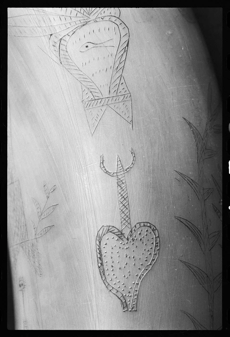 photographie MuCEM (Paris). Galerie culturelle. Section "arts visuels". Espace "arts appliqués". Vitrine "corne". Corne. 1854 Ph.1986.6.173 Photo