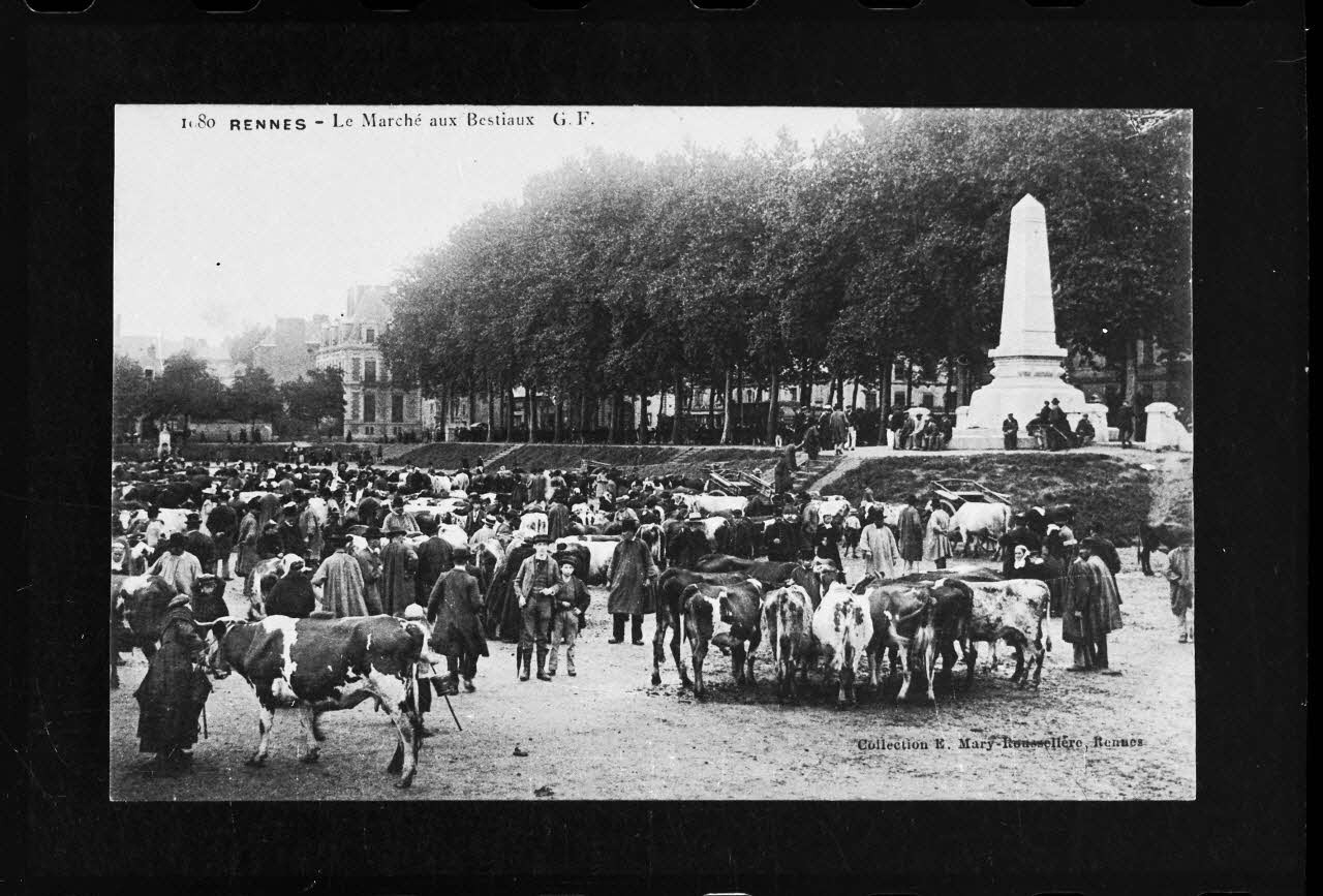 photographie Carte postale. "Le marché aux bestiaux". Foire aux bestiaux (ovins) devant un monument aux morts Ph.1986.81.3 Photo