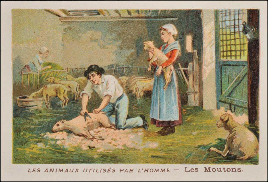 carte réclame chromo 1995.1.1685.15 Photo Mucem