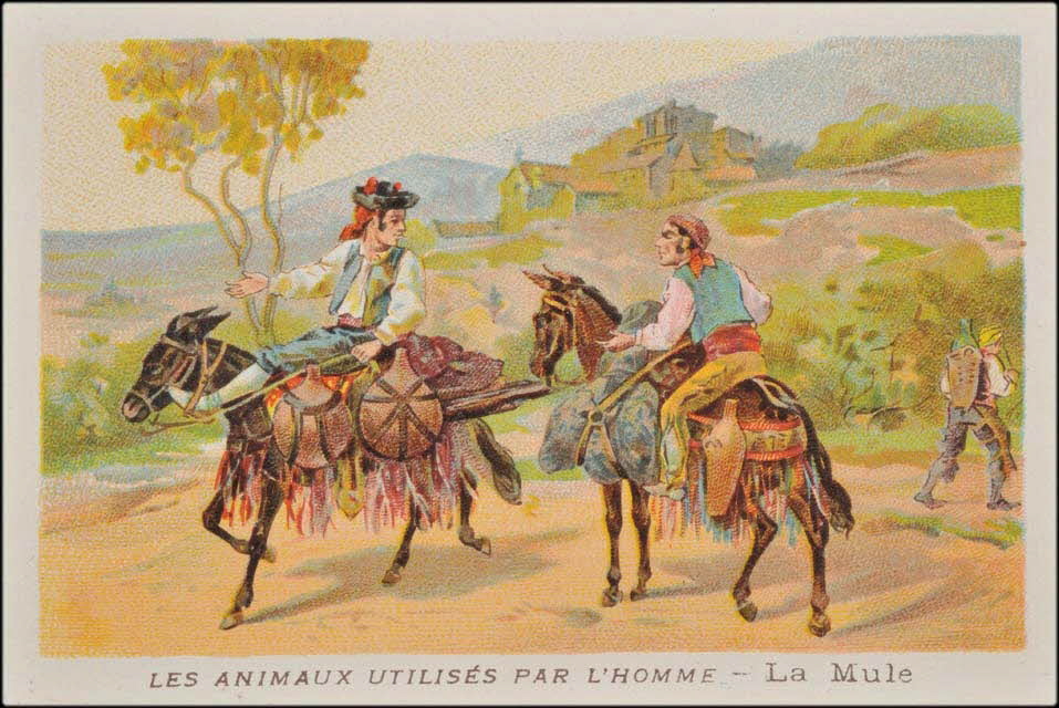 carte réclame chromo 1995.1.1685.16 Photo Mucem