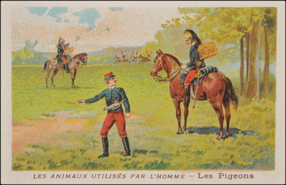 carte réclame chromo 1995.1.1685.17 Photo Mucem