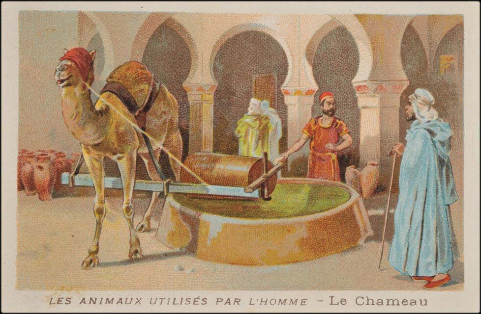 carte réclame chromo 1995.1.1685.3 Photo Mucem