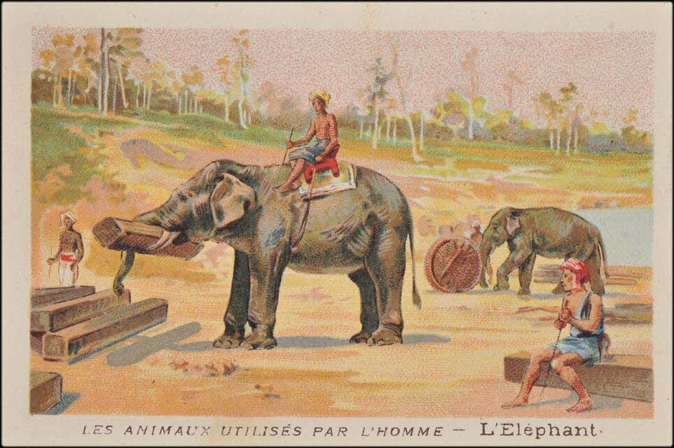 carte réclame chromo 1995.1.1685.10 Photo Mucem