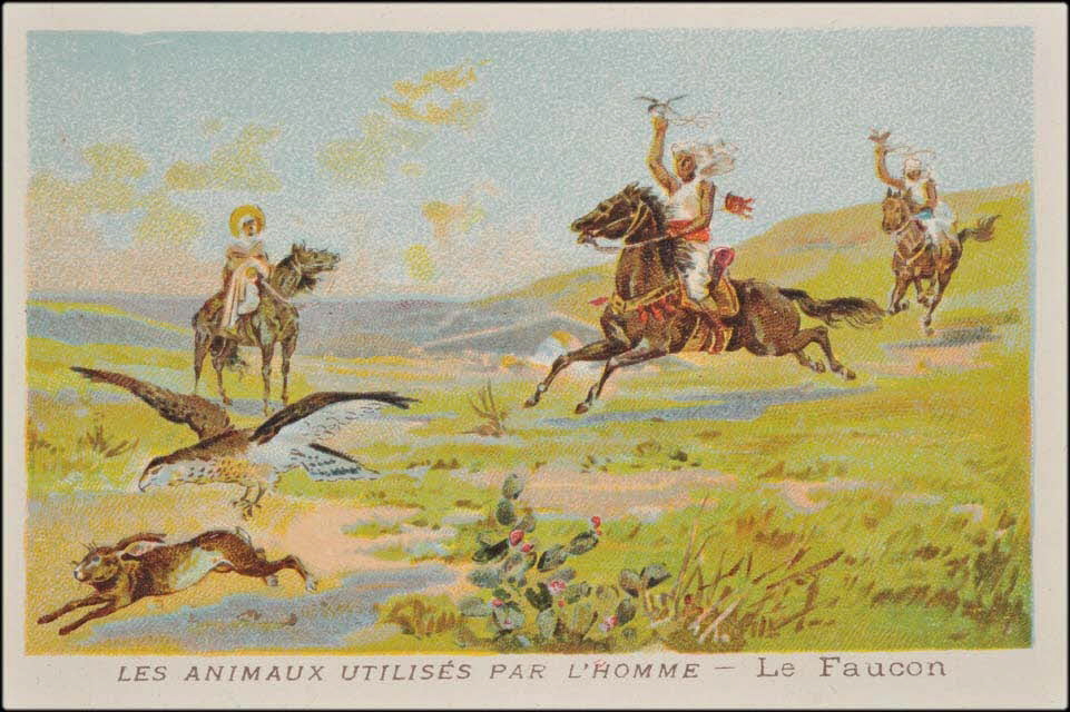 carte réclame chromo 1995.1.1685.11 Photo Mucem