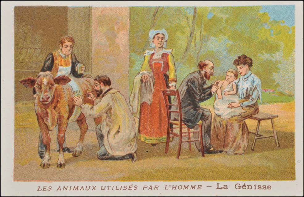 carte réclame chromo 1995.1.1685.13 Photo Mucem