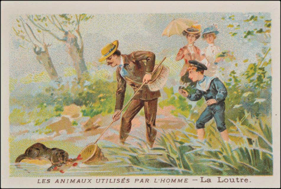 carte réclame chromo 1995.1.1685.14 Photo Mucem