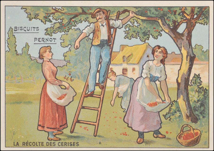 Romanet carte réclame chromo Paris 1877-1913 1995.1.474.2 Photo Mucem