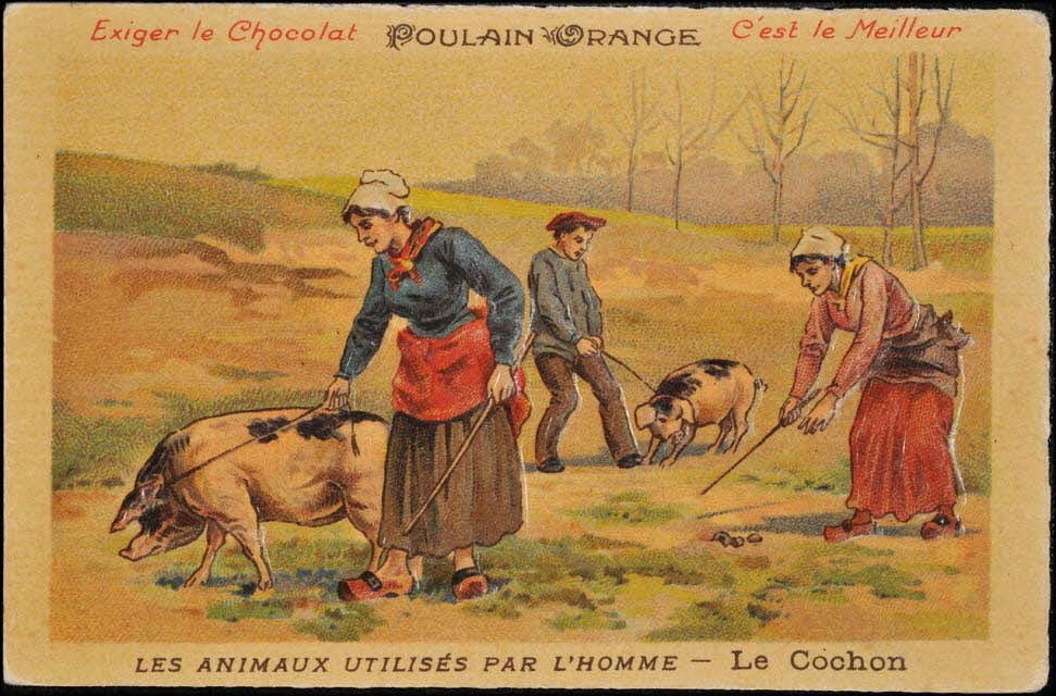 Romanet carte réclame chromo Paris 1877-1913 1995.1.480.4 Photo Mucem