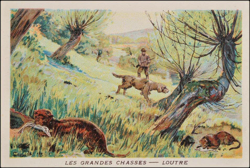 Goujon ; Romanet carte réclame chromo Paris 1877-1907 1995.1.655.13 Photo Mucem