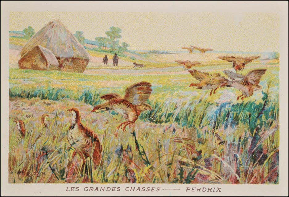 Goujon ; Romanet carte réclame chromo Paris 1877-1907 1995.1.655.17 Photo Mucem