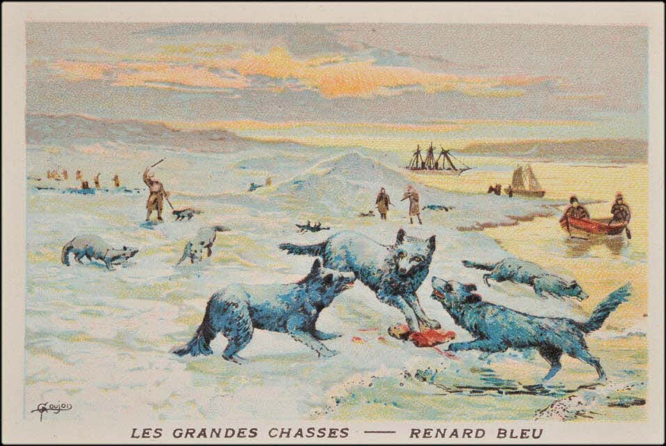 Goujon ; Romanet carte réclame chromo Paris 1877-1907 1995.1.655.18 Photo Mucem