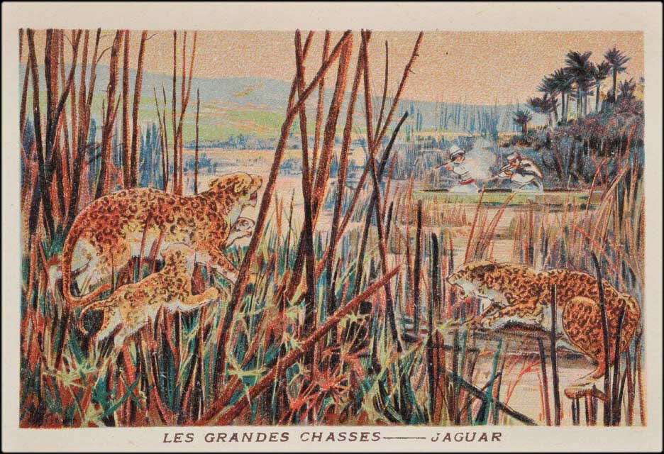 Goujon ; Romanet carte réclame chromo Paris 1877-1907 1995.1.655.9 Photo Mucem