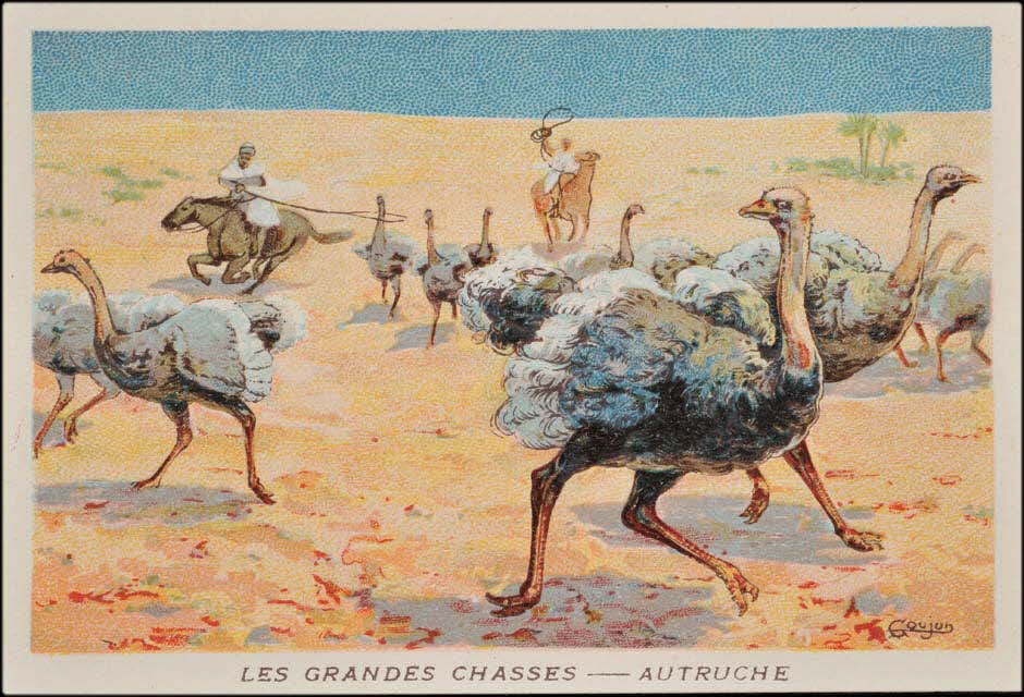 Goujon ; Romanet carte réclame chromo Paris 1877-1907 1995.1.655.2 Photo Mucem