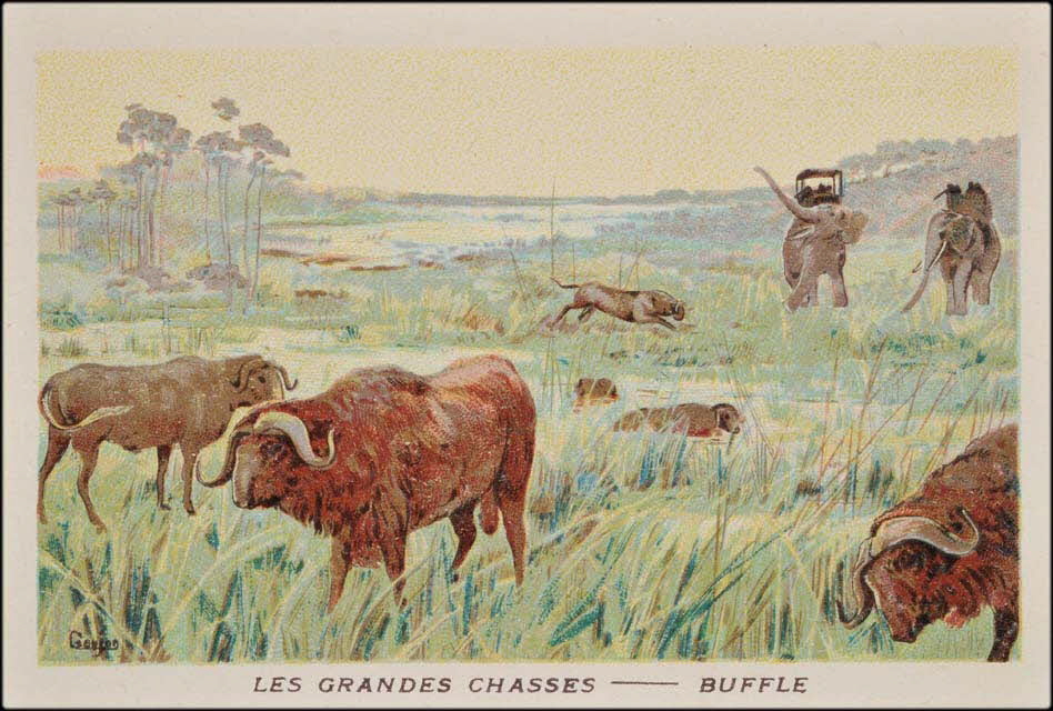 Goujon ; Romanet carte réclame chromo Paris 1877-1907 1995.1.655.3 Photo Mucem